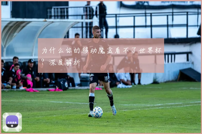 为什么你的移动魔盒看不了世界杯？深度解析