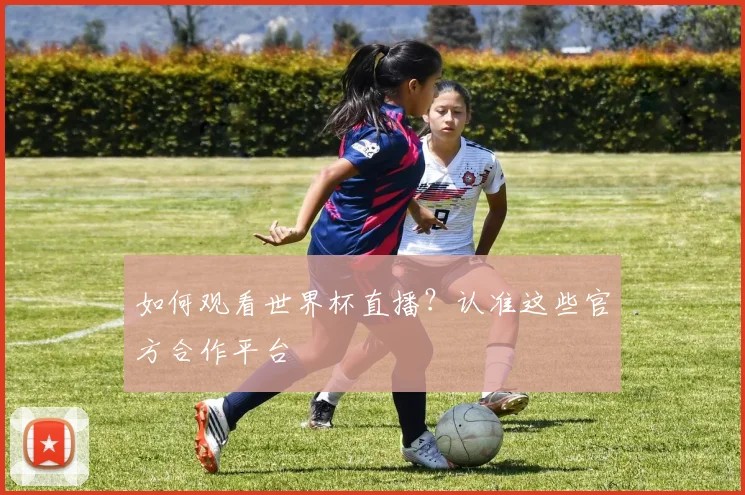 如何观看世界杯直播？认准这些官方合作平台