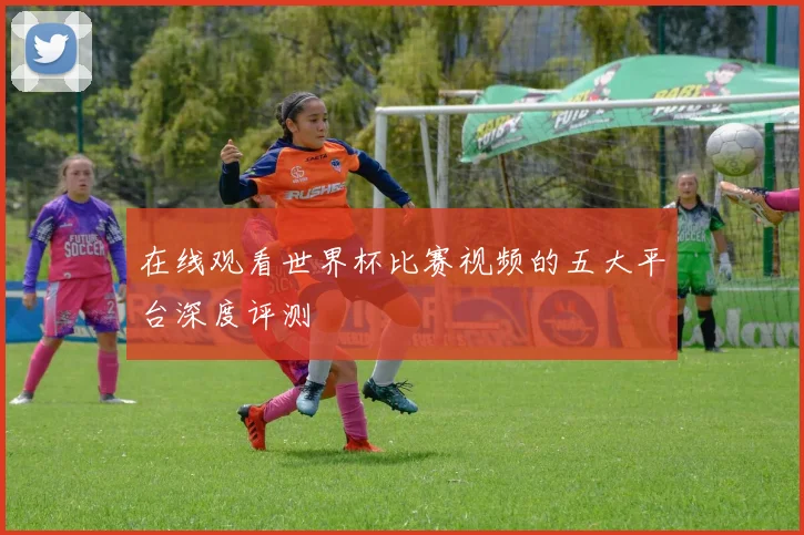 在线观看世界杯比赛视频的五大平台深度评测