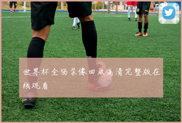 世界杯全场录像回放高清完整版在线观看