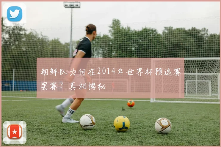 朝鲜队为何在2014年世界杯预选赛罢赛?真相揭秘