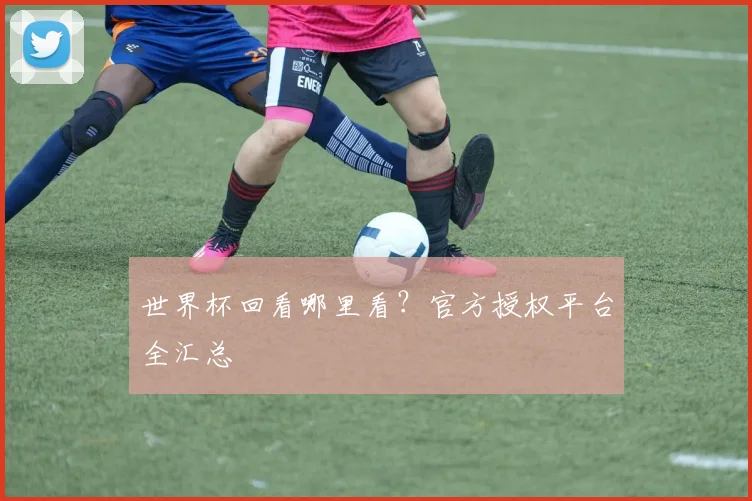 世界杯回看哪里看？官方授权平台全汇总