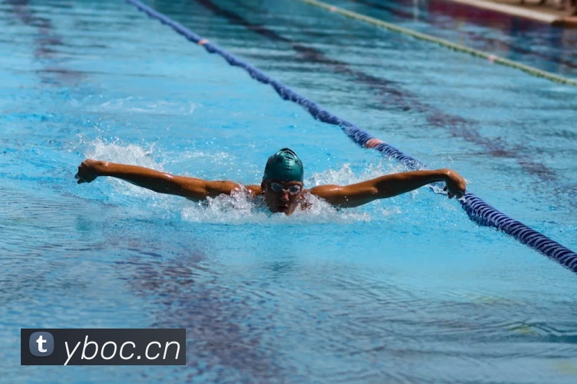 多媒体互动体验